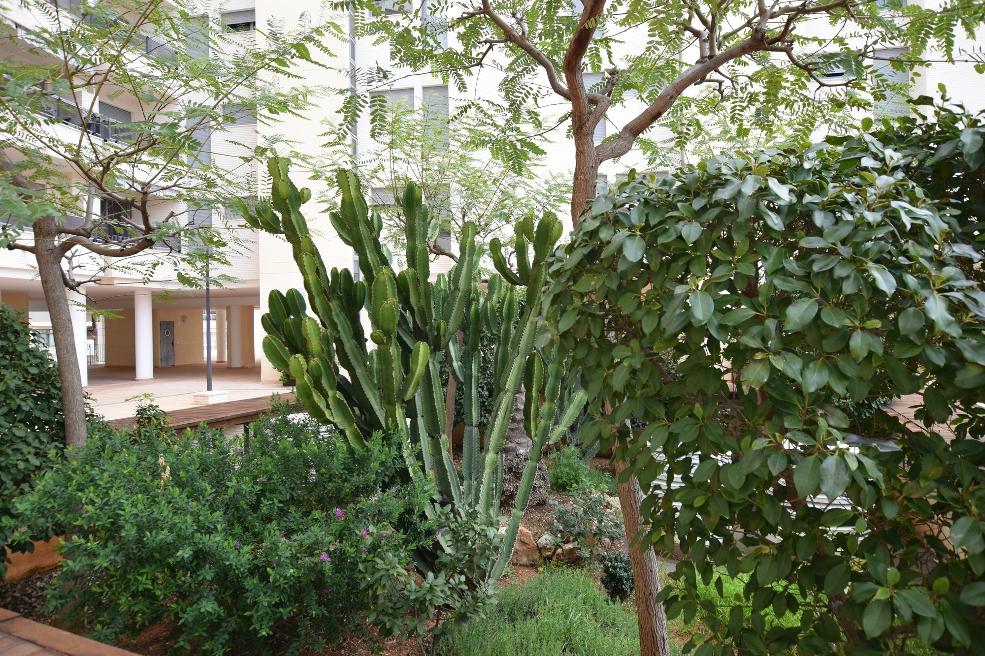 Plaza Mayor 2 Bedroom Apartment Calpe Luaran gambar